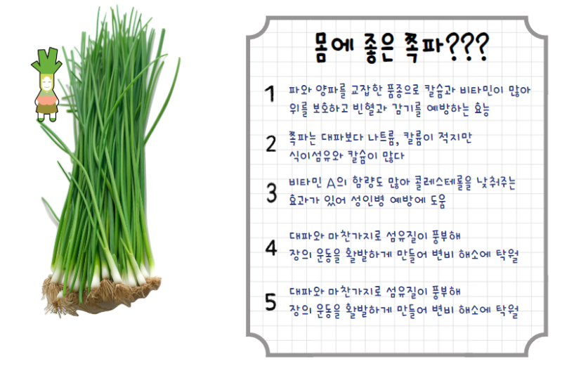 파!! 쪽파, 대파, 실파 차이 : 네이버 블로그