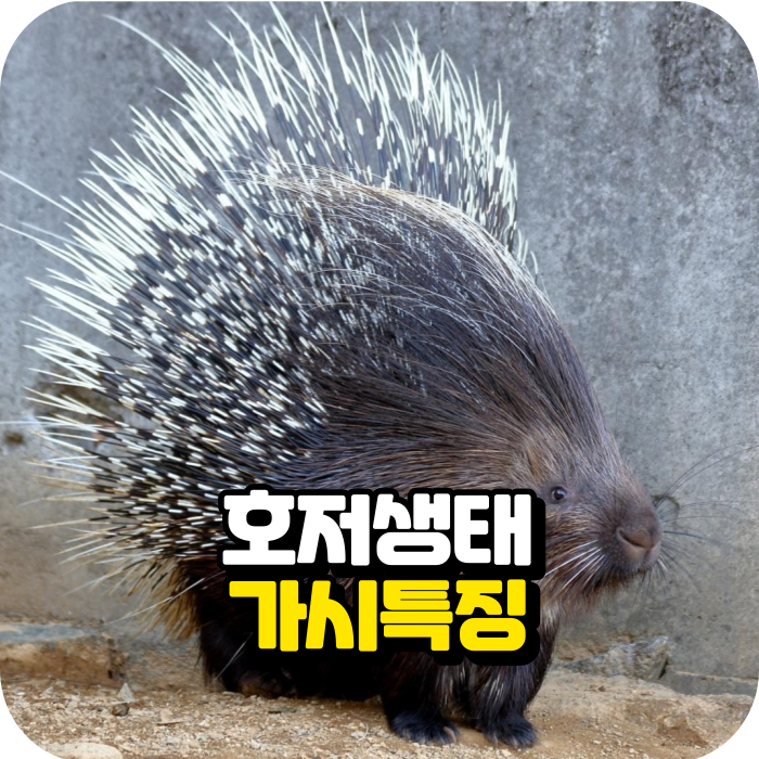 Porcupine Spike 기능에 대해 자세히 알아보십시오.