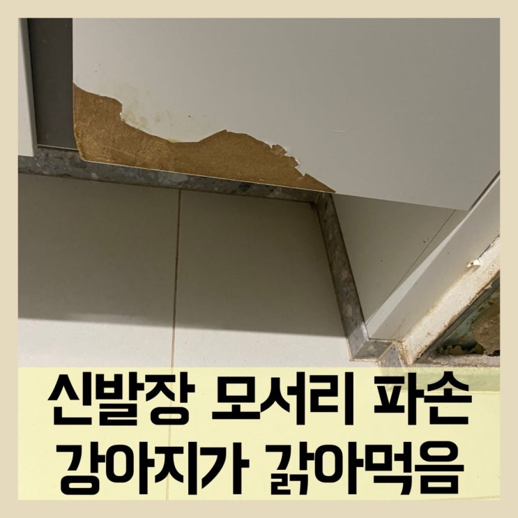  신발장모서리파손 강아지이빨자국