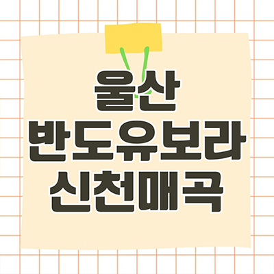  울산 반도유보라 신천매곡 미분양아파트 신천동 반도건설 계약조건 중도금 무이자 잔여세대 분양가격