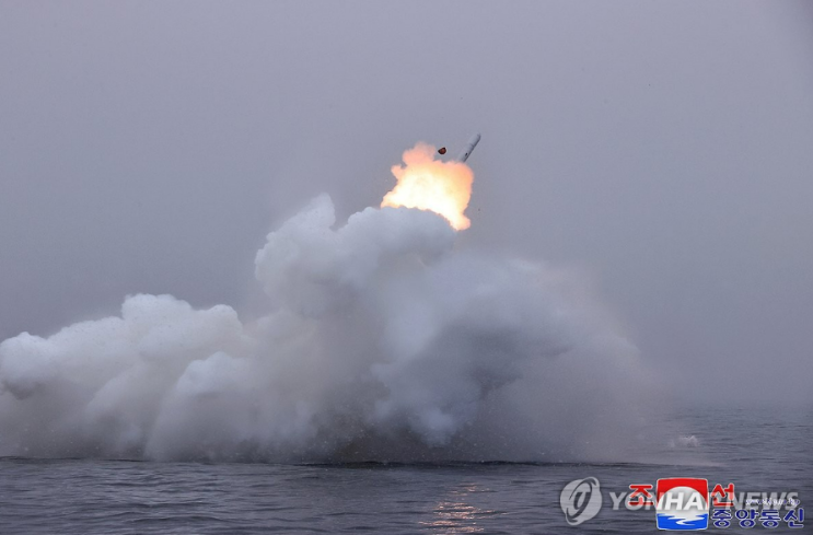 북한 <b>발사</b> <b>순항미사일</b>, 위기 상황에서 살아남는 법