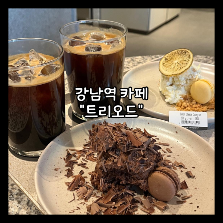  [강남] 강남역 무게단위로 주문하는 카페 "트리오드TRIODE" 내돈내산