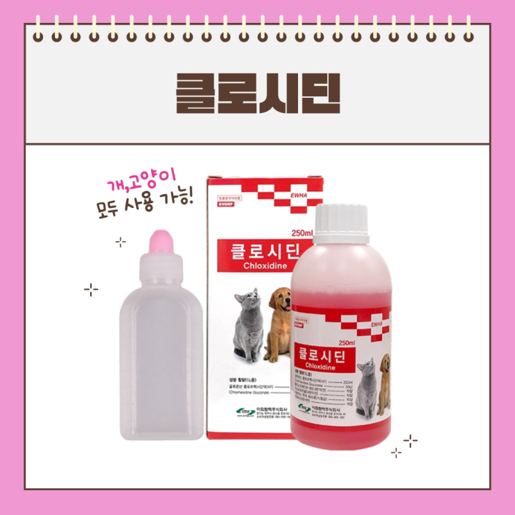 반려동물을 위한 핑크 소독약(클로시딘)으로 고양이, 강아지 피부 개선