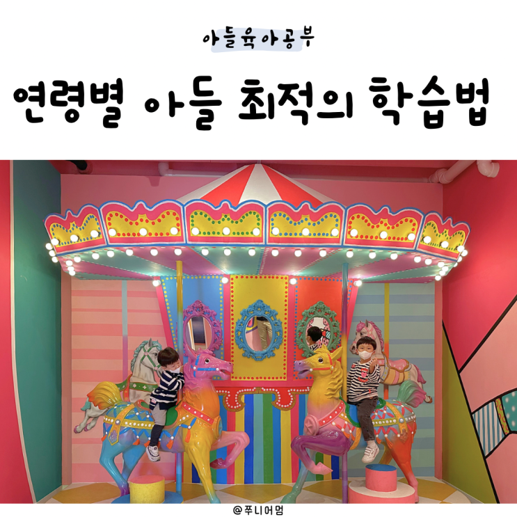 연령별 아들 최적의 학습법 육아서적 <b>아이의 사생활</b>