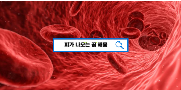  [꿈해몽풀이] 피꿈 피가나는꿈해몽 피꿈 다치는꿈 생리하는꿈 상황별꿈