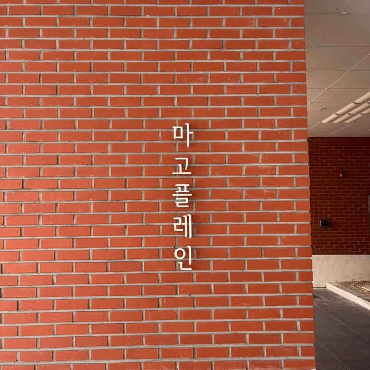  마고플레인 아양 베이커리 대형 뷰맛집 카페