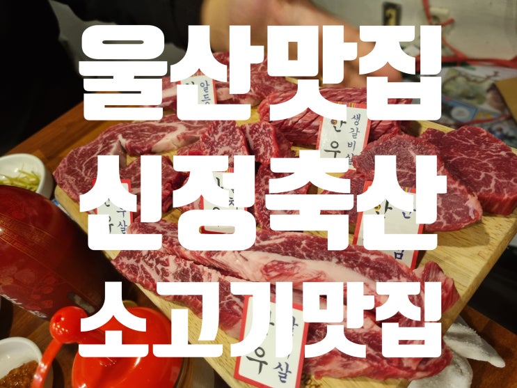  울산 저렴한 소고기 맛집 신정축산물도매센터