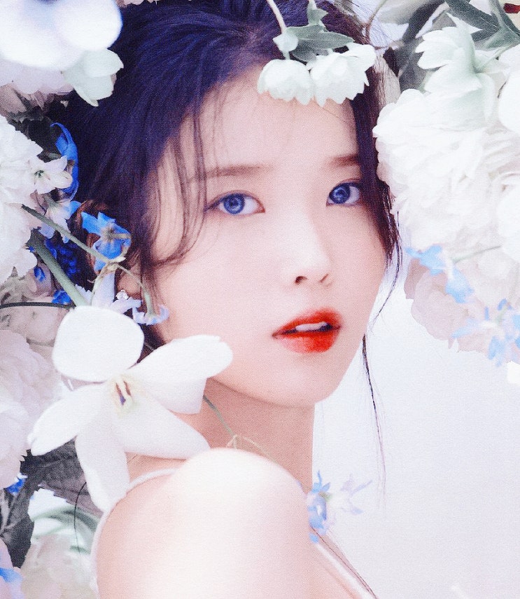 240129 2024 <b>아이유 콘서트</b>... 일반예매 #팬클럽<b>유애나</b>7기모집)... 