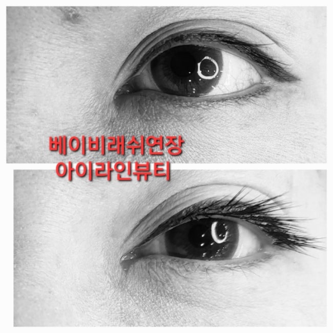 유지기간이 오래가는 전주 베이비래쉬 속눈썹연장 유지기간이 오래가는 전주 베이비래쉬 속눈썹연장