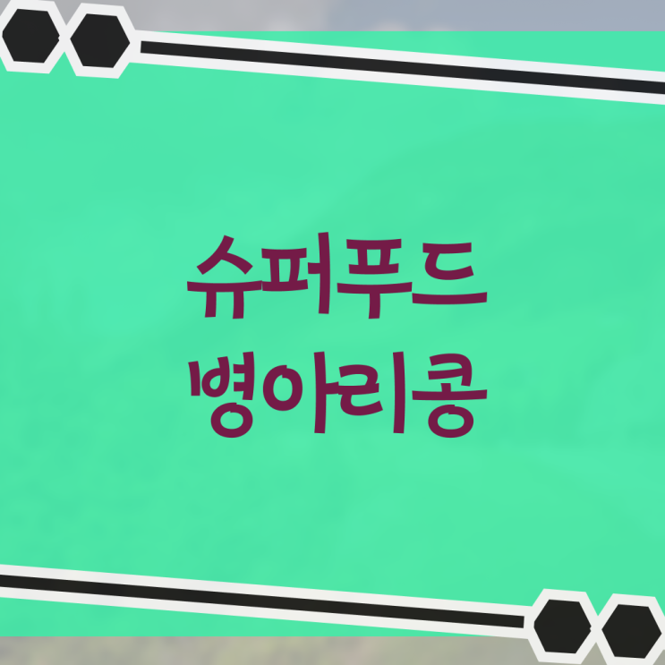  핵심 정보 가득 드려요 , 병아리콩 영양성분 !!!
