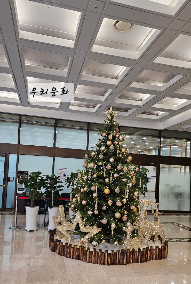 명동 을지로입구 뷰맛집접대하기 좋은 식당 뱅커스클럽 바이 반얀트리 명동 을지로입구 뷰맛집접대하기 좋은 식당 뱅커스클럽 바이 반얀트리