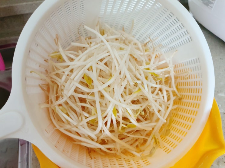  남은 숙주 보관법은? 숙주 냉동보관 팁 공유합니다
