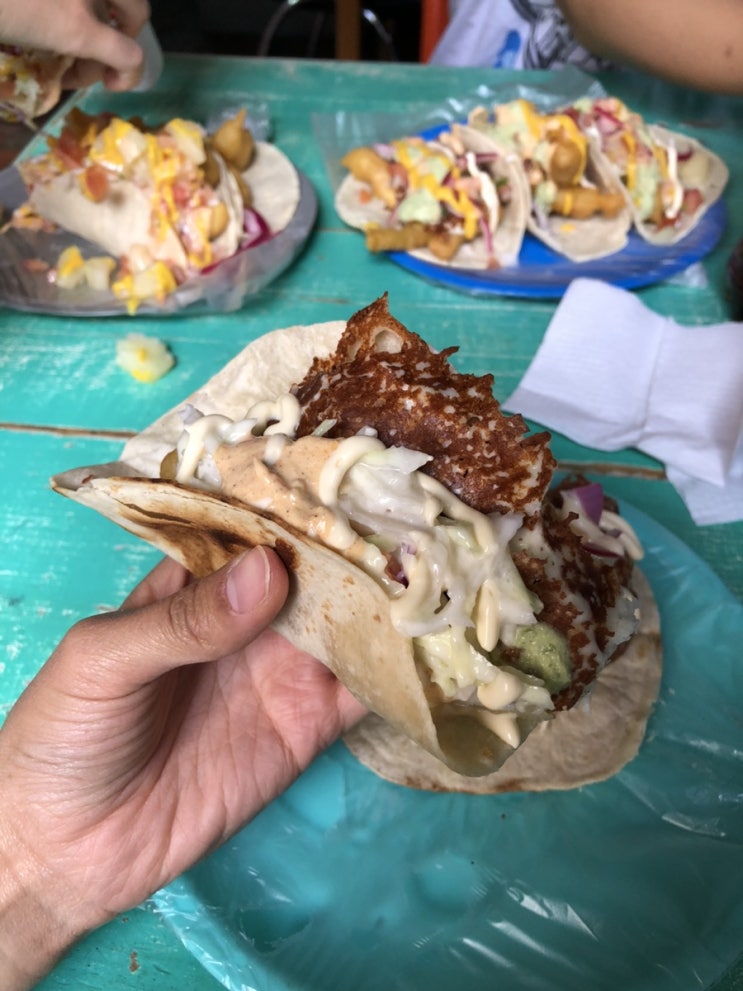  멕시코 과나후아토 새우 타코 맛집 : Pacifico Surf Antojería Del Mar