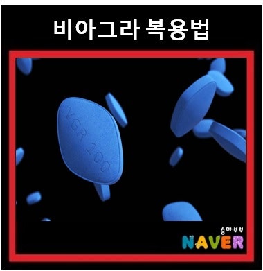 비아그라 복용법 및 처방 방법