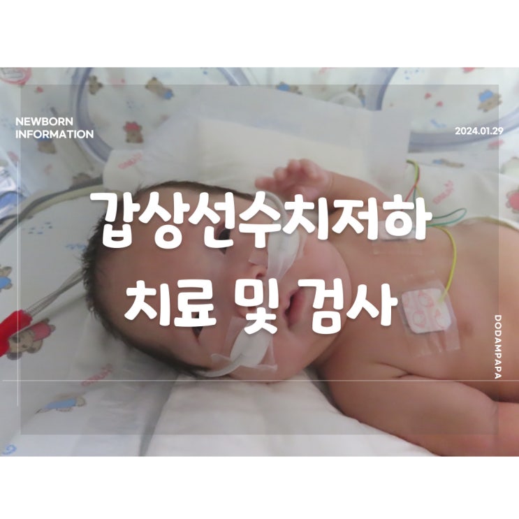 신생아 정보 신생아 갑상선 수치 저하 치료 및 검사