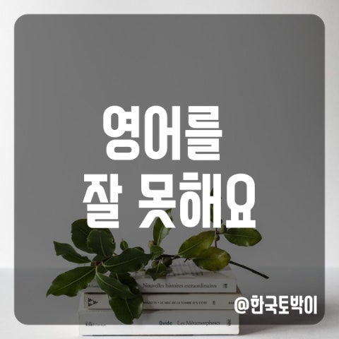  영어를 잘 못해요 영어로 (not good at)