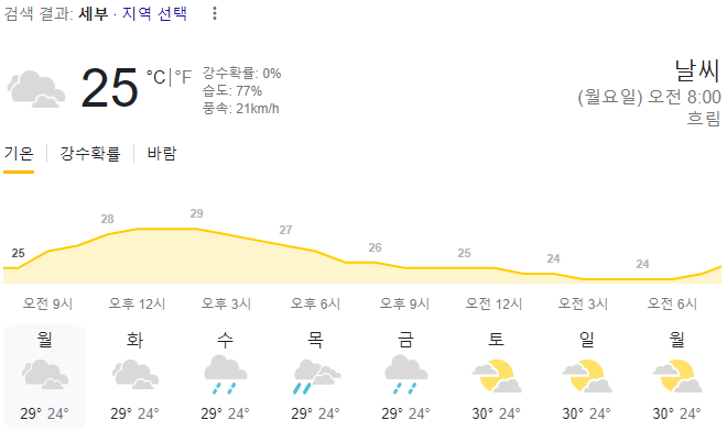  2024년 1월 29일 세부 날씨 올려드려요