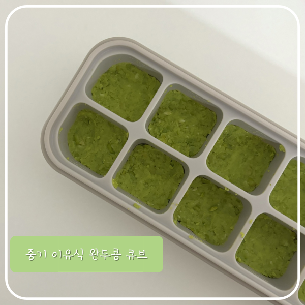  [중기이유식] 냉동 완두콩으로 큐브 만들기(with 베이비무브)