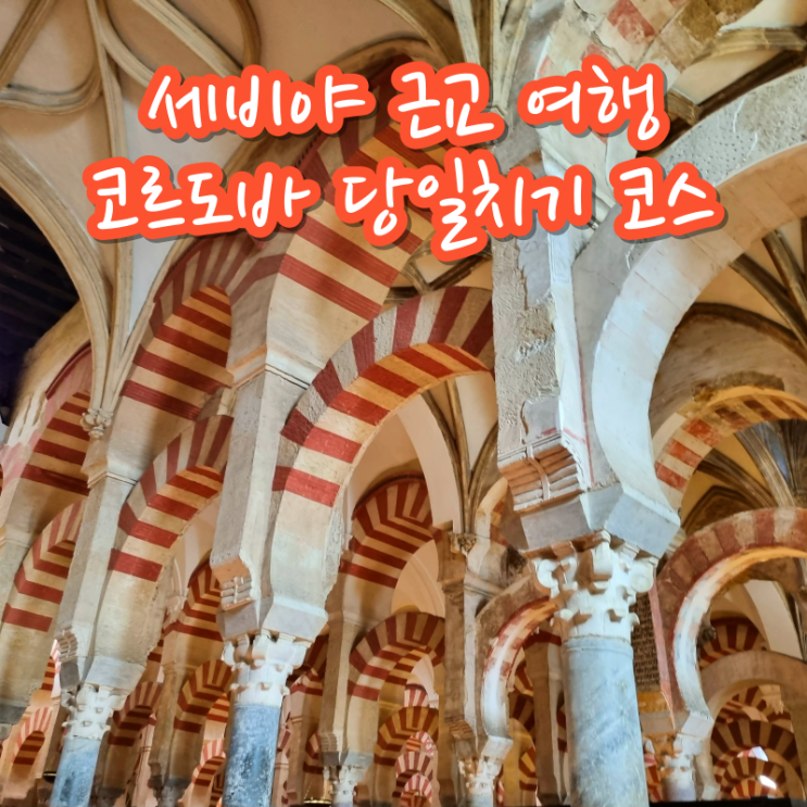  스페인 남부 안달루시아 여행 세비야 근교 코르도바 당일치기