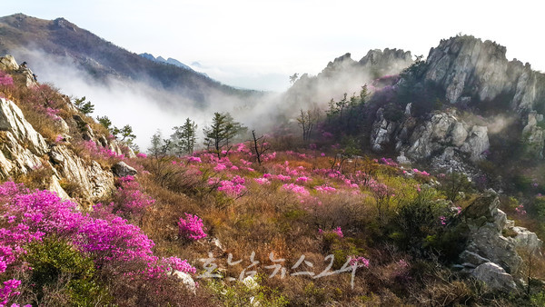  강진 임(林)과 함께 3일 살기, 주작산 휴양림에서 숲 체험 하실래요?
