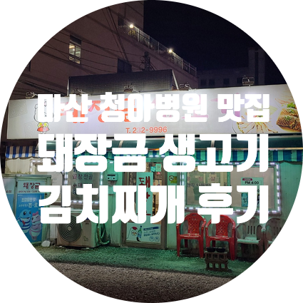  창원 내서 청아병원 맛집 돼장금 생고기 김치찌개 후기