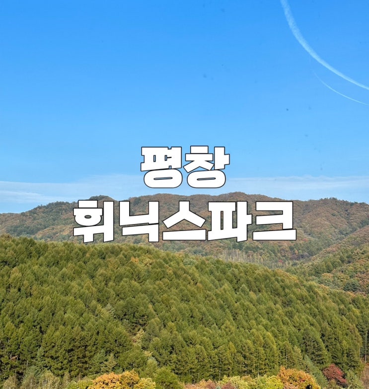  강원도 평창 | 평창 휘닉스파크 리조트 (스카이스탠다드패밀리, 룸컨디션, 리모델링, 주방시설, 어매니티)