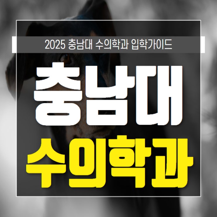 <b>충남대</b> 수의학과 편입 성공후기 공개합니다