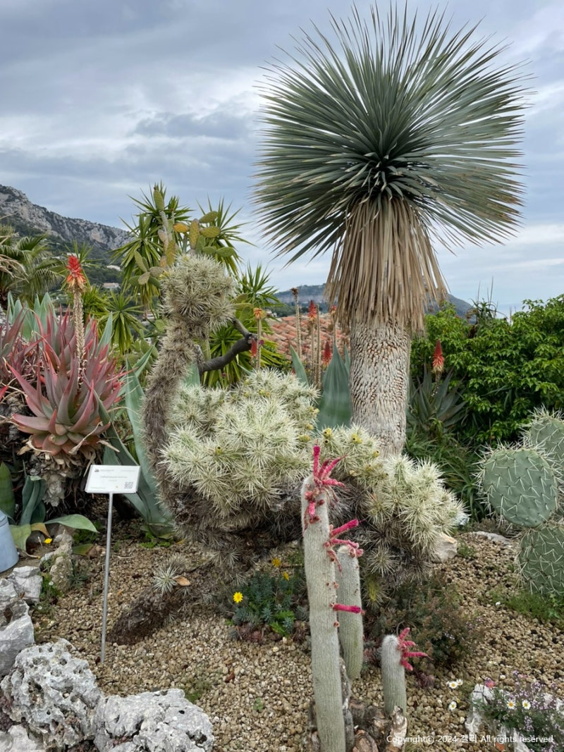 열대우림 와일드 아시아, 싱가포르 | 티켓, 투어 및 기타 상품 예약하기, image size:800x1067