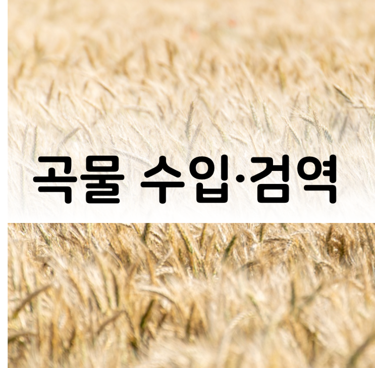 메밀 수입, <b>농산물</b> 곡물 수입 · <b>검역</b> · 통관