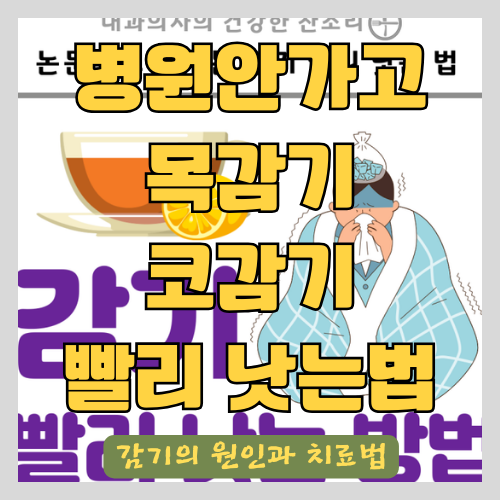  목감기 코감기 예방하고 빨리 낫는법 - 병원 안가고 감기 치료하는 법
