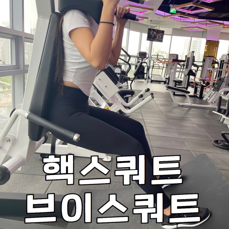 핵스쿼트 머신 자세 무게 브이스쿼트 차이점 제대로!