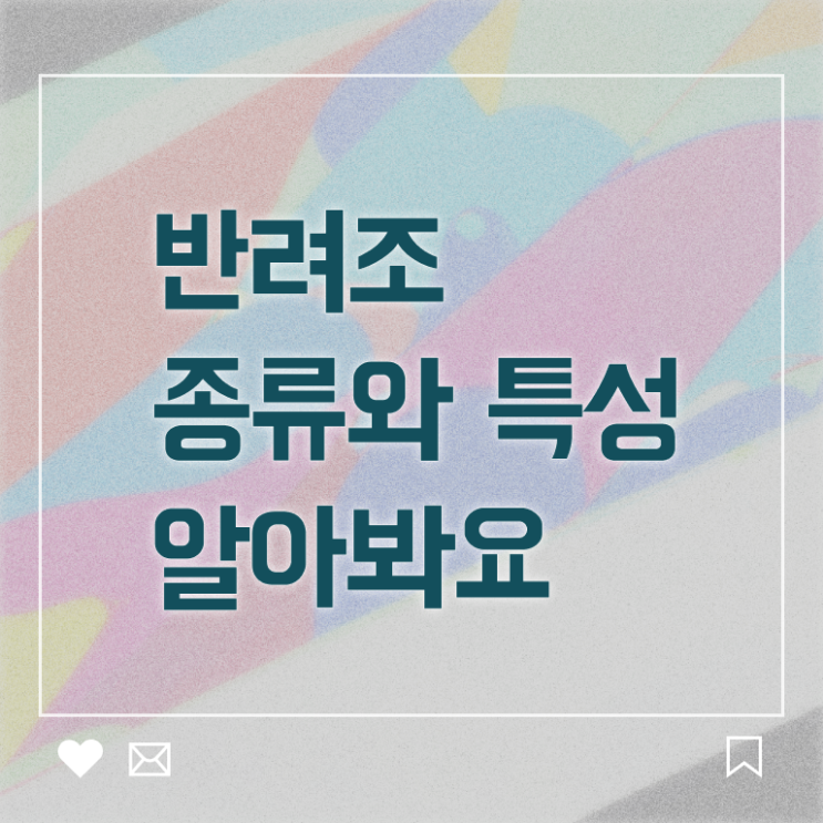  반려조관리사 1급 자격증 필기 궁금증 해결 ?! 한국자격검정원