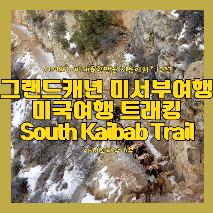  그랜드캐년 미국 여행 미서부 여행 미대륙 횡단 12편 트래킹 South Kaibab Trail