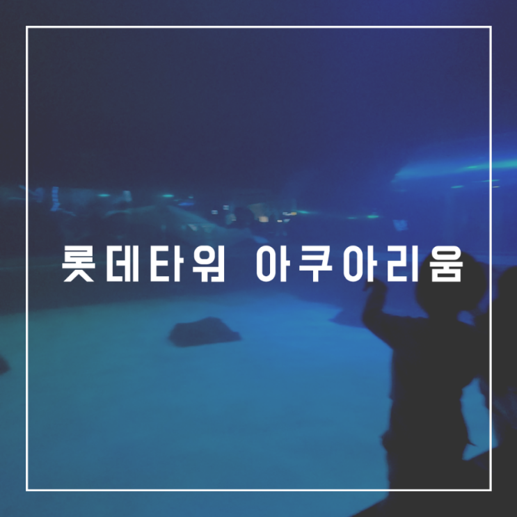  아이와 함께한 신비로운 해양 여행, 롯데월드타워 아쿠아리움 후기