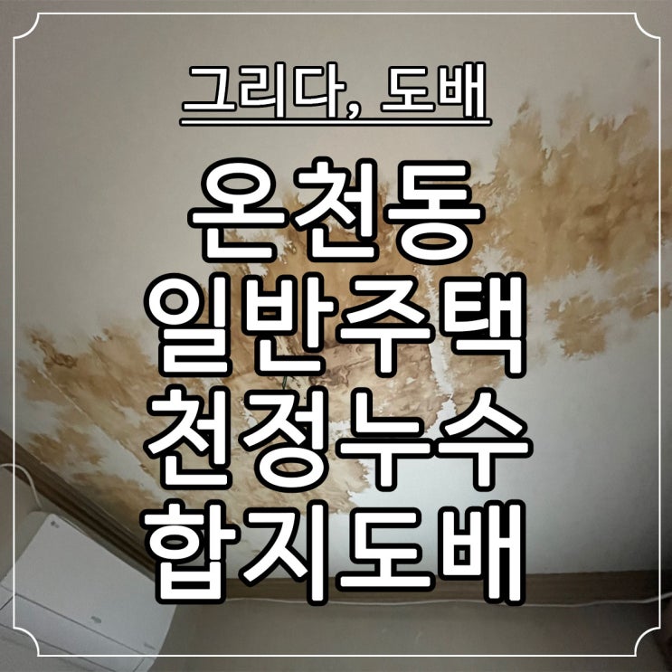  부산누수도배 온천동 일반주택 천정 누수도배