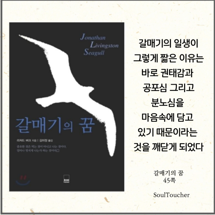 #『갈매기의꿈』:짧은수명의이유 #『갈매기의꿈』:짧은수명의이유