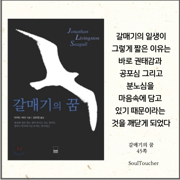 #『갈매기의꿈』:짧은수명의이유