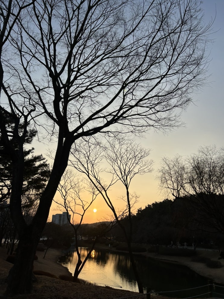  아침 일찍 일어나 울산대공원 산책하고 캐시워크로 공짜 치킨시켜먹는 바닐라씨