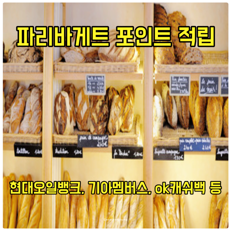  파리바게트 포인트 적립(현대오일뱅크, 기아멤버스, ok캐쉬백 등) 알아보기