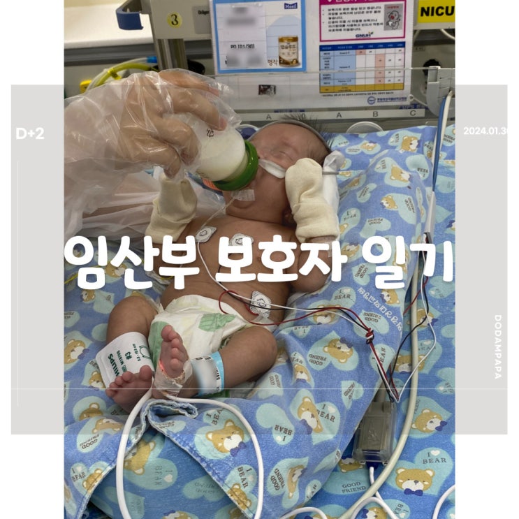 2024.01.30 임산부 보호자 일기 D+2일