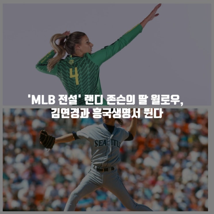 V리그 여자배구 <b>흥국생명 윌로우</b> 존슨 포지션, 플레이스타일... 