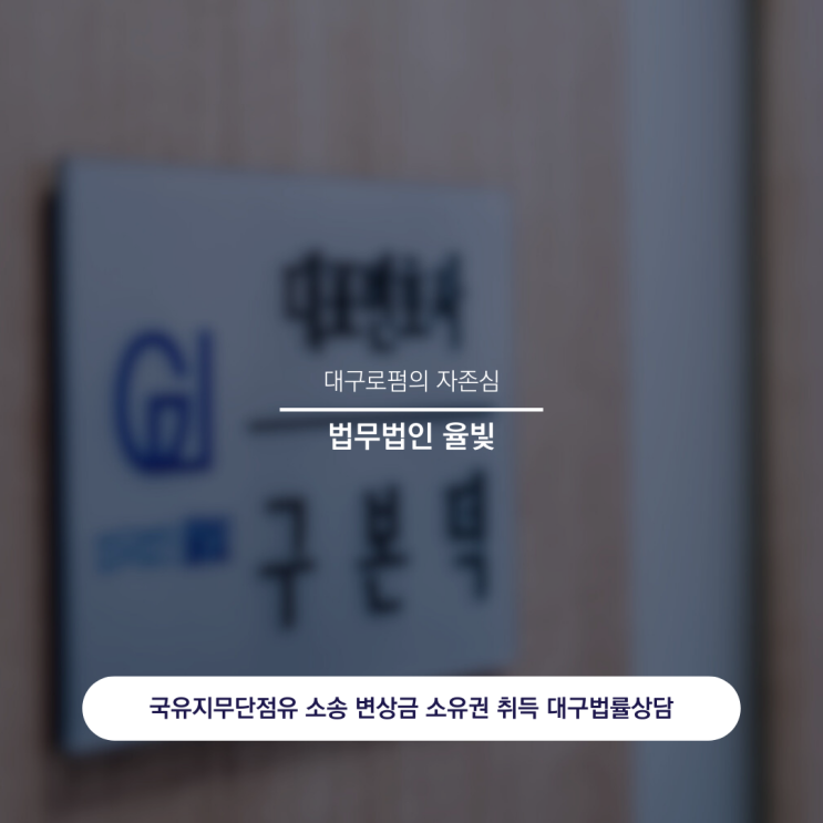  국유지무단점유 소송 변상금 소유권 취득 대구법률상담