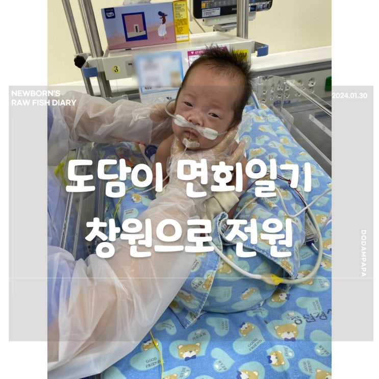 도담이 면회 일기 창원 경상대학교병원으로 전원 도담이 면회 일기 창원 경상대학교병원으로 전원