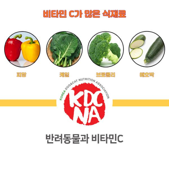  NO.1090 반려동물 비타민C의 효능 및 흡수