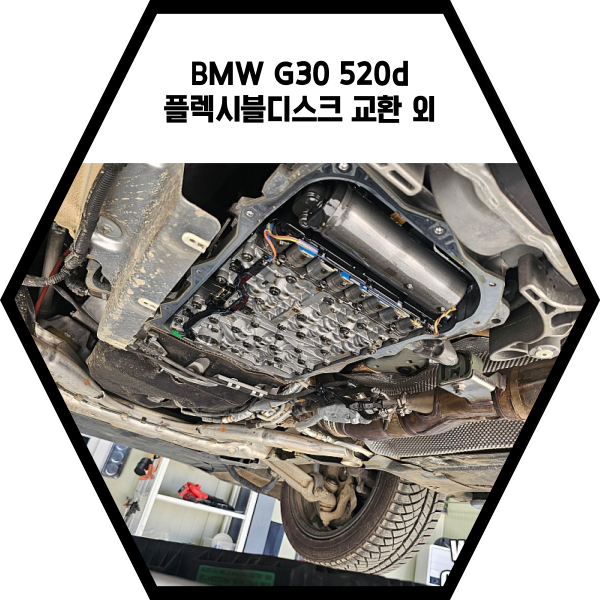  BMW G30 520d 플렉시블 디스크 교환 외(feat. 연탄)