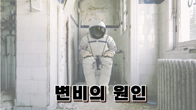  변비 걸리는 이유와 변비에 좋은 음식과 생활습관