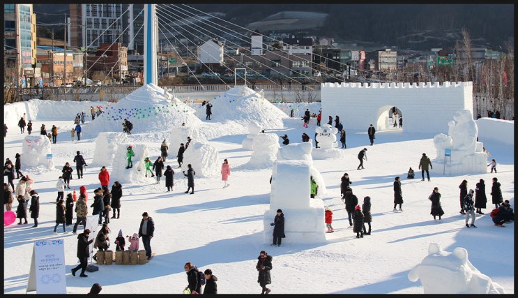  대관령눈꽃축제 기본 정보  평창 겨울여행지 코스