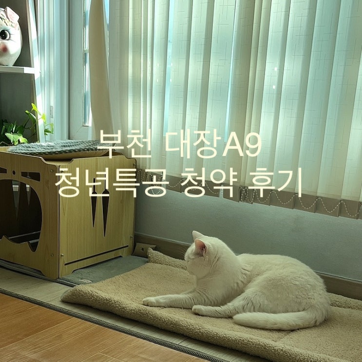  부천 대장 A9 블럭 59형 청년형 청약 신청 후기