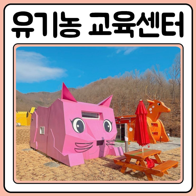  충주유기농체험교육센터 숙박하고 왔어요