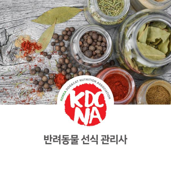  NO.1083 한국반려동물영양협회 반려동물선식관리사 자격증 취득